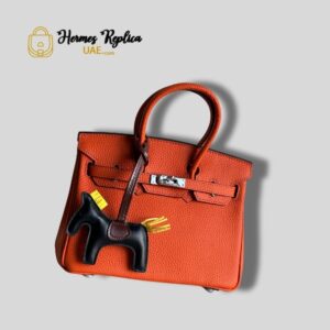 Hermes Birkin 25 Orange Togo Palladium
